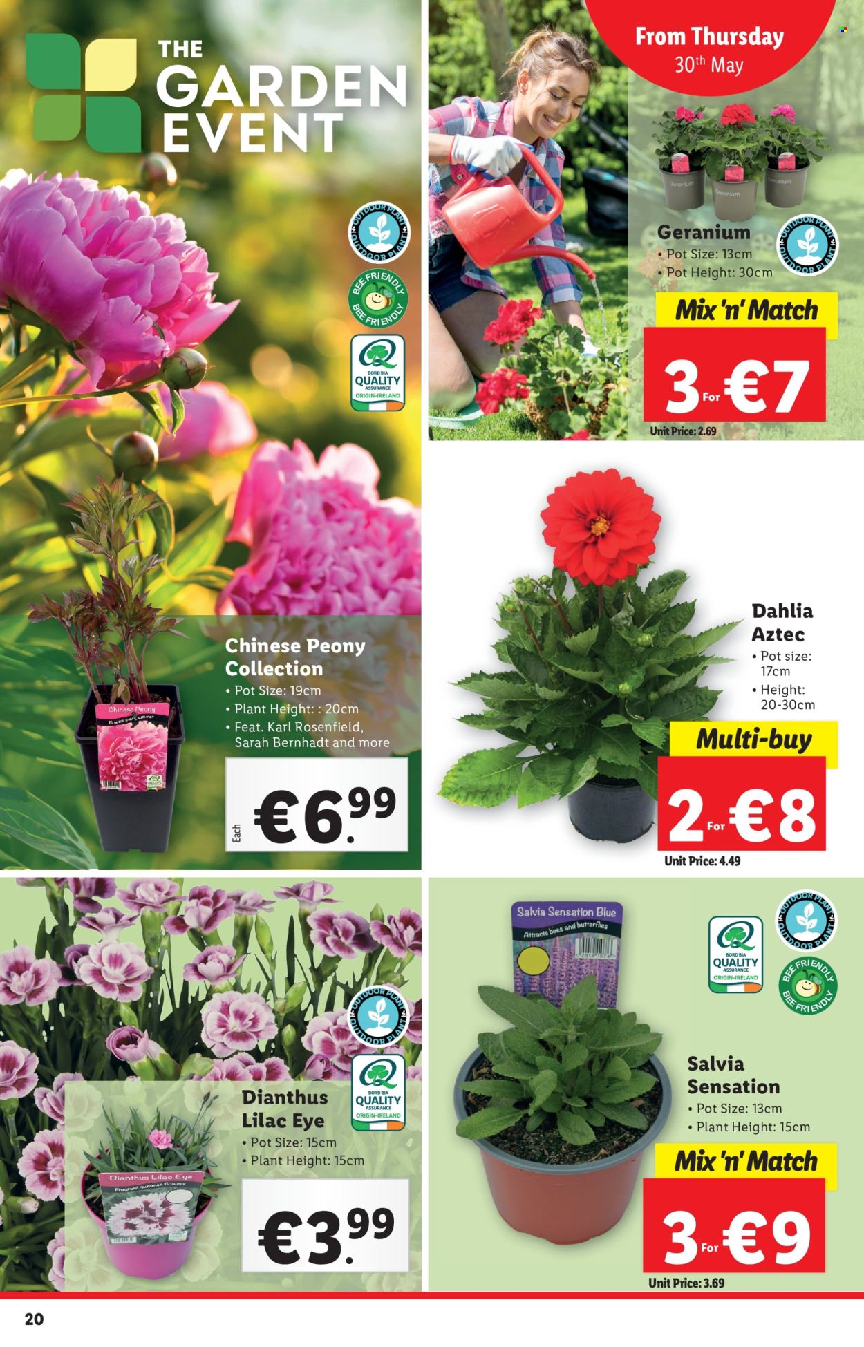 Lidl offer - 30.05.2024 - 05.06.2024. Page 20