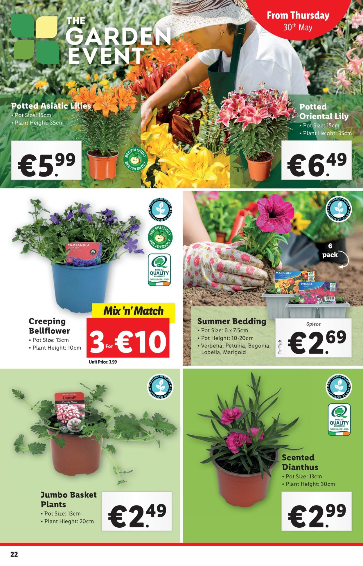 Lidl offer - 30.05.2024 - 05.06.2024. Page 22
