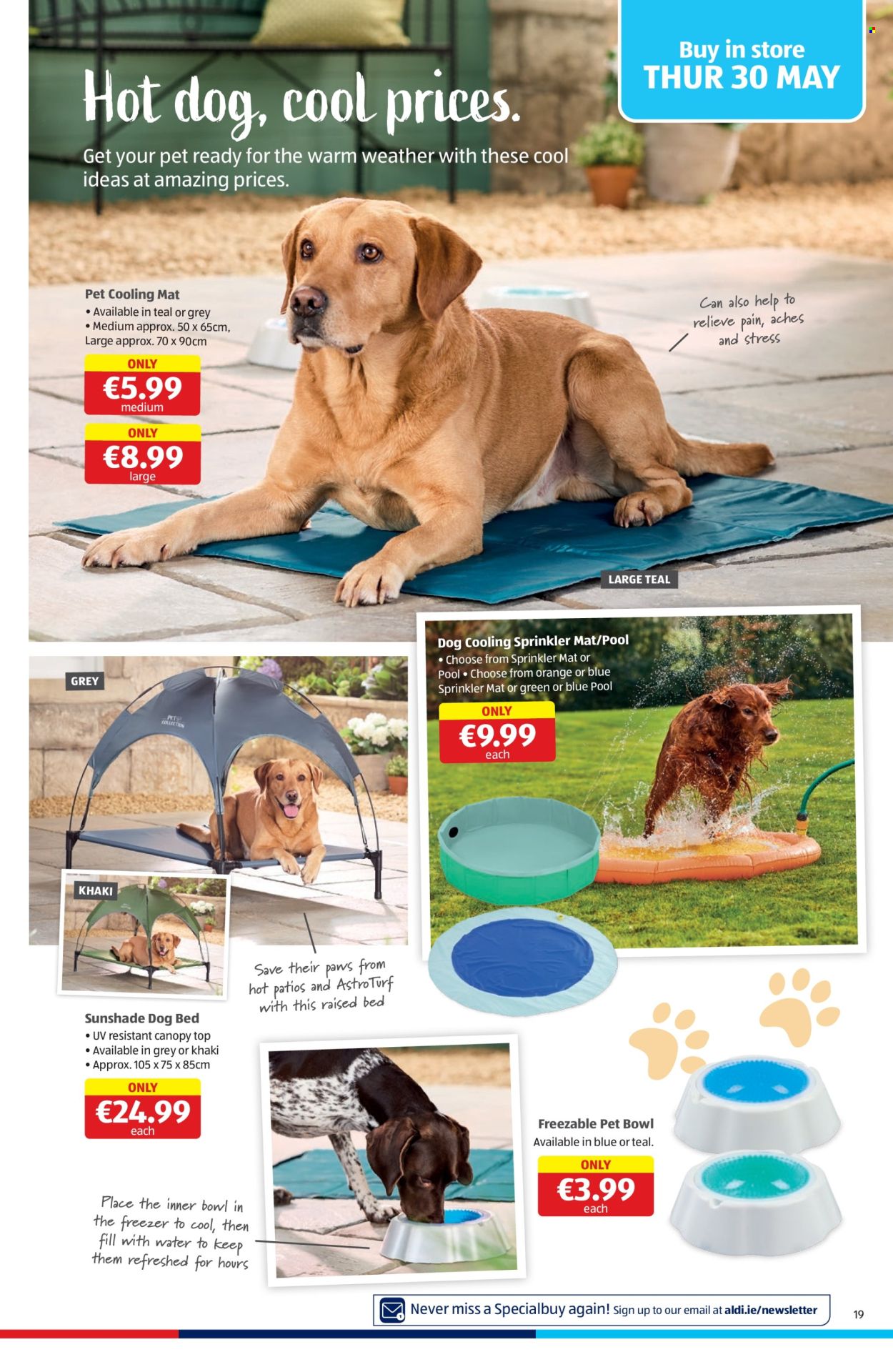 Aldi offer - 30.05.2024 - 05.06.2024. Page 19