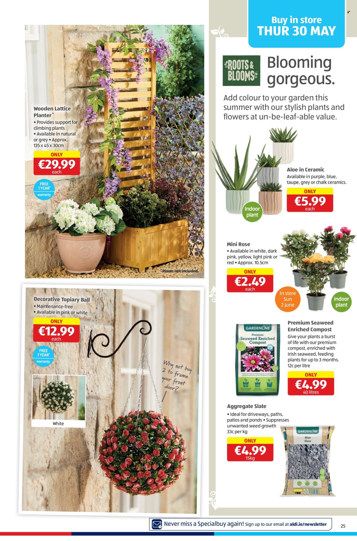 Aldi offer - 30.05.2024 - 05.06.2024. Page 25