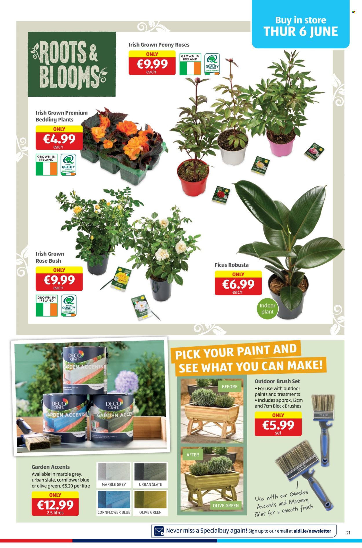 Aldi offer - 06.06.2024 - 12.06.2024. Page 21