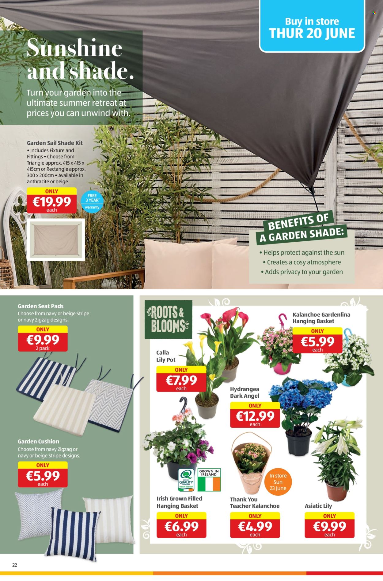 Aldi offer - 20.06.2024 - 26.06.2024. Page 22