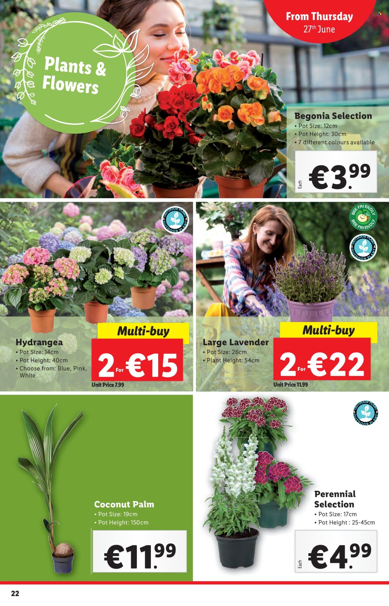 Lidl offer - 27.06.2024 - 03.07.2024. Page 22