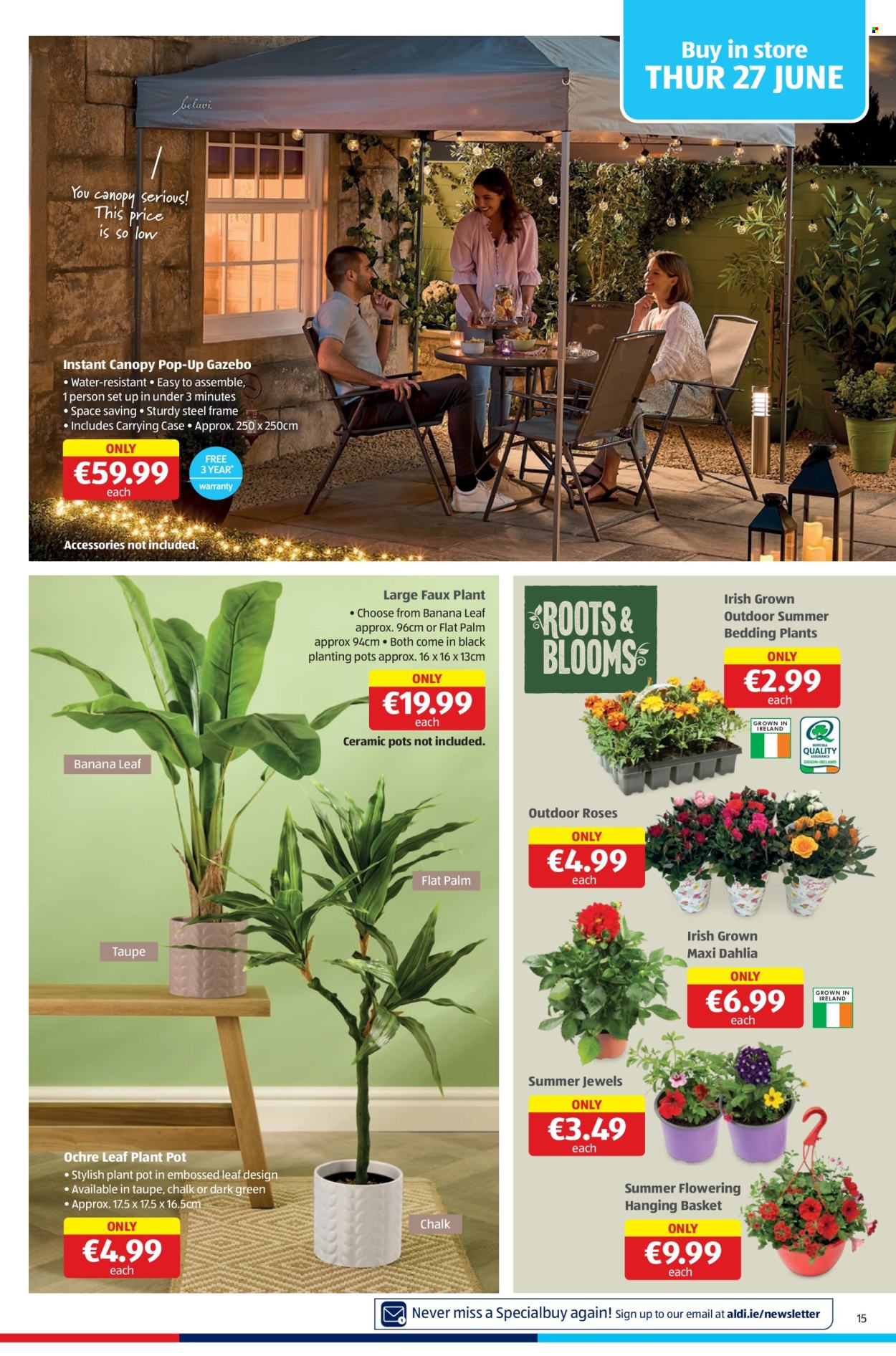 Aldi offer - 27.06.2024 - 03.07.2024. Page 15