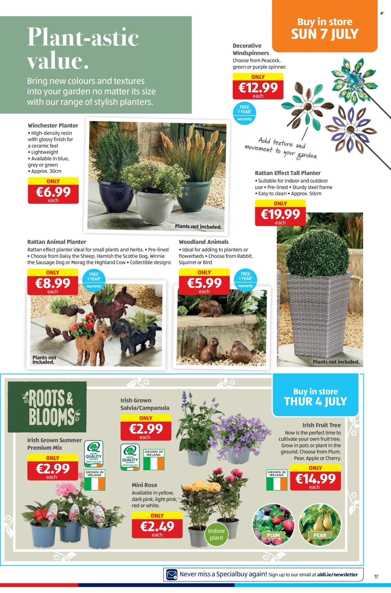 Aldi offer - 04.07.2024 - 10.07.2024. Page 17