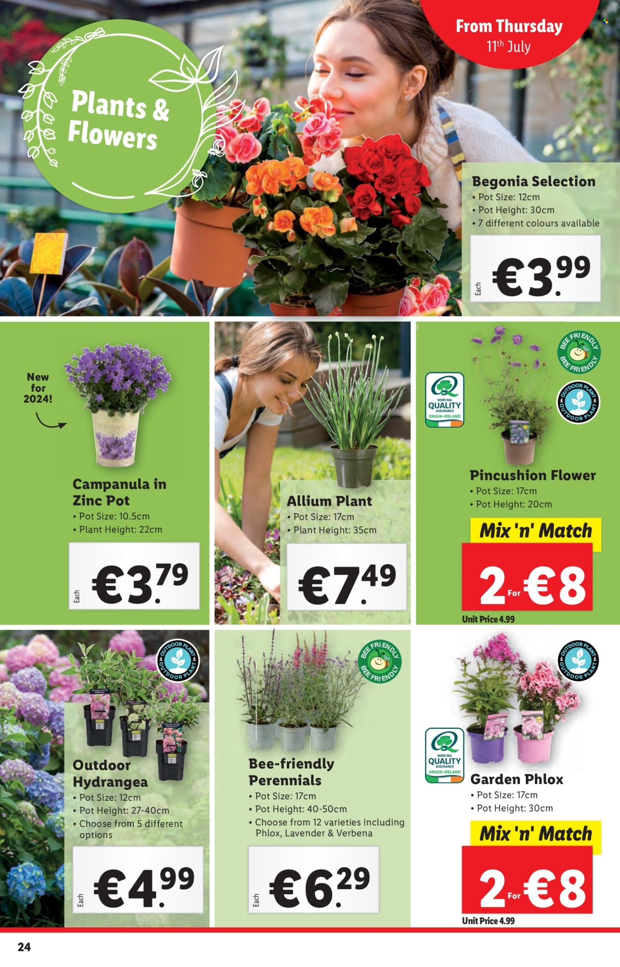 Lidl offer - 11.07.2024 - 17.07.2024. Page 24