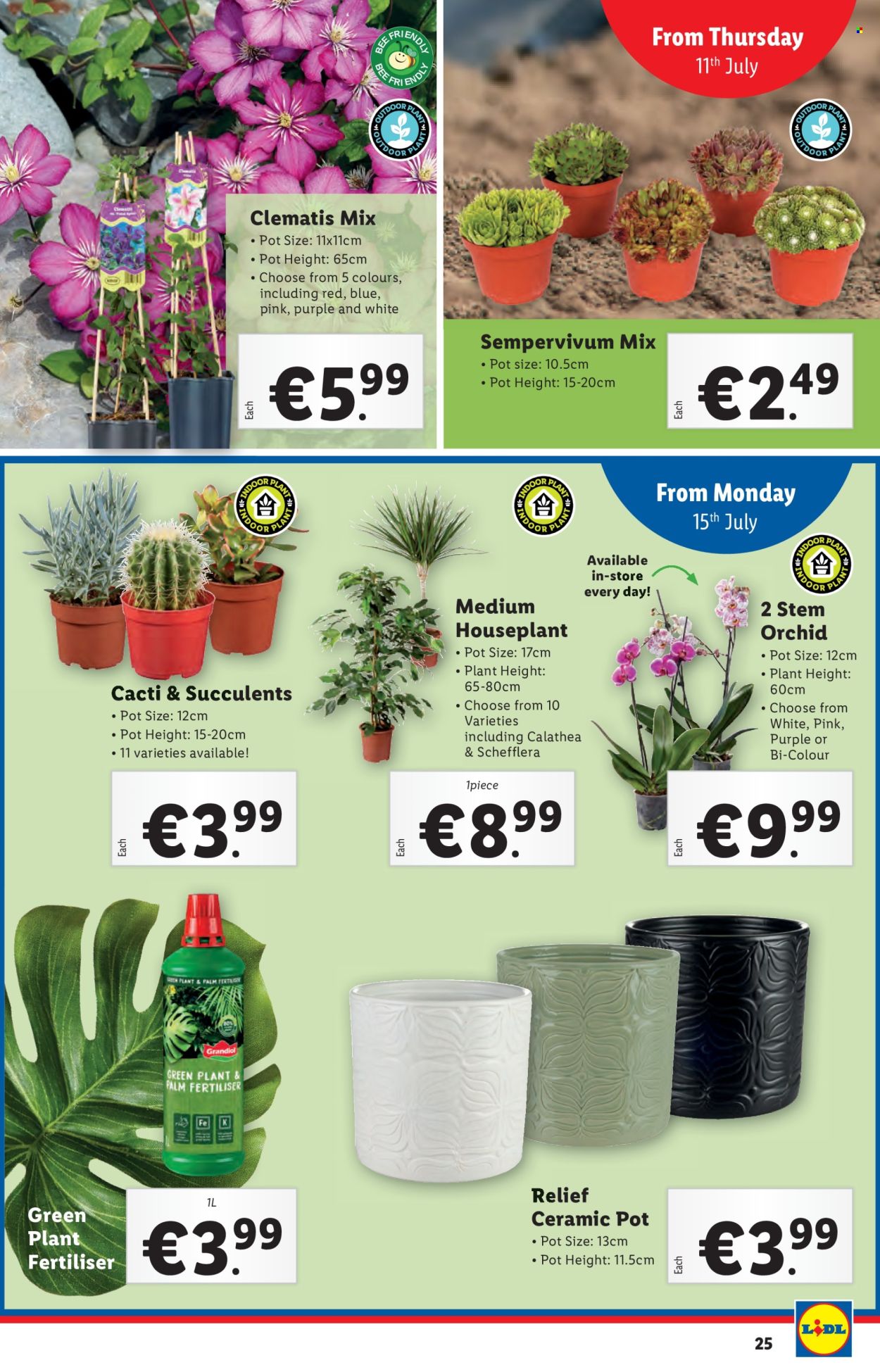 Lidl offer - 11.07.2024 - 17.07.2024. Page 25