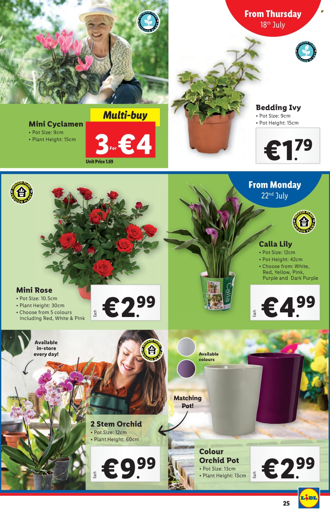 Lidl offer - 18.07.2024 - 24.07.2024. Page 25