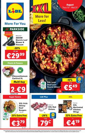 Lidl offer  - 15.08.2024 - 21.08.2024.