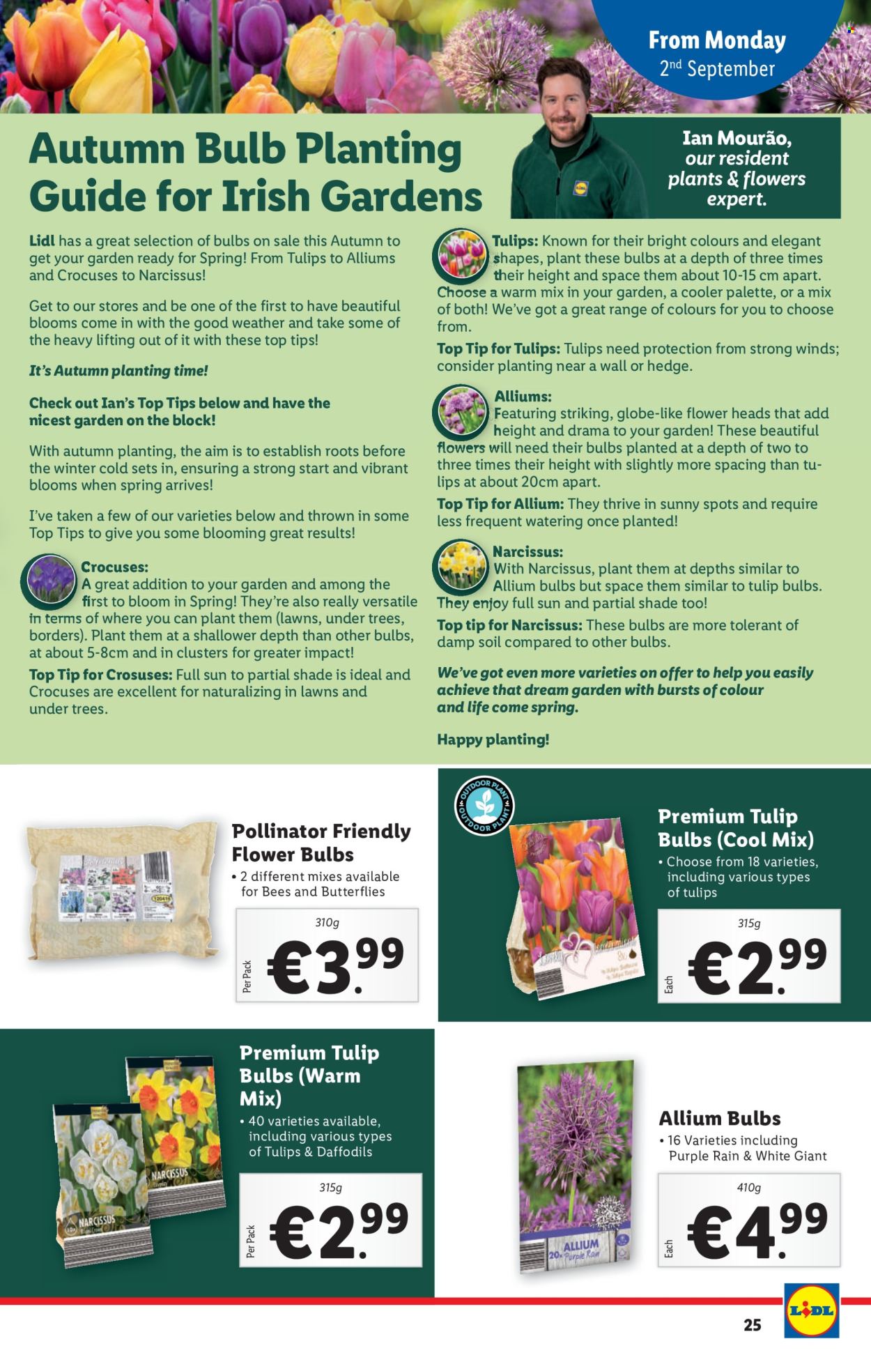 Lidl offer - 29.08.2024 - 04.09.2024. Page 25