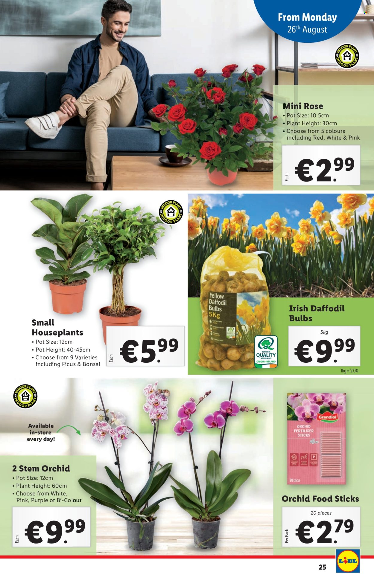 Lidl offer - 22.08.2024 - 28.08.2024. Page 25