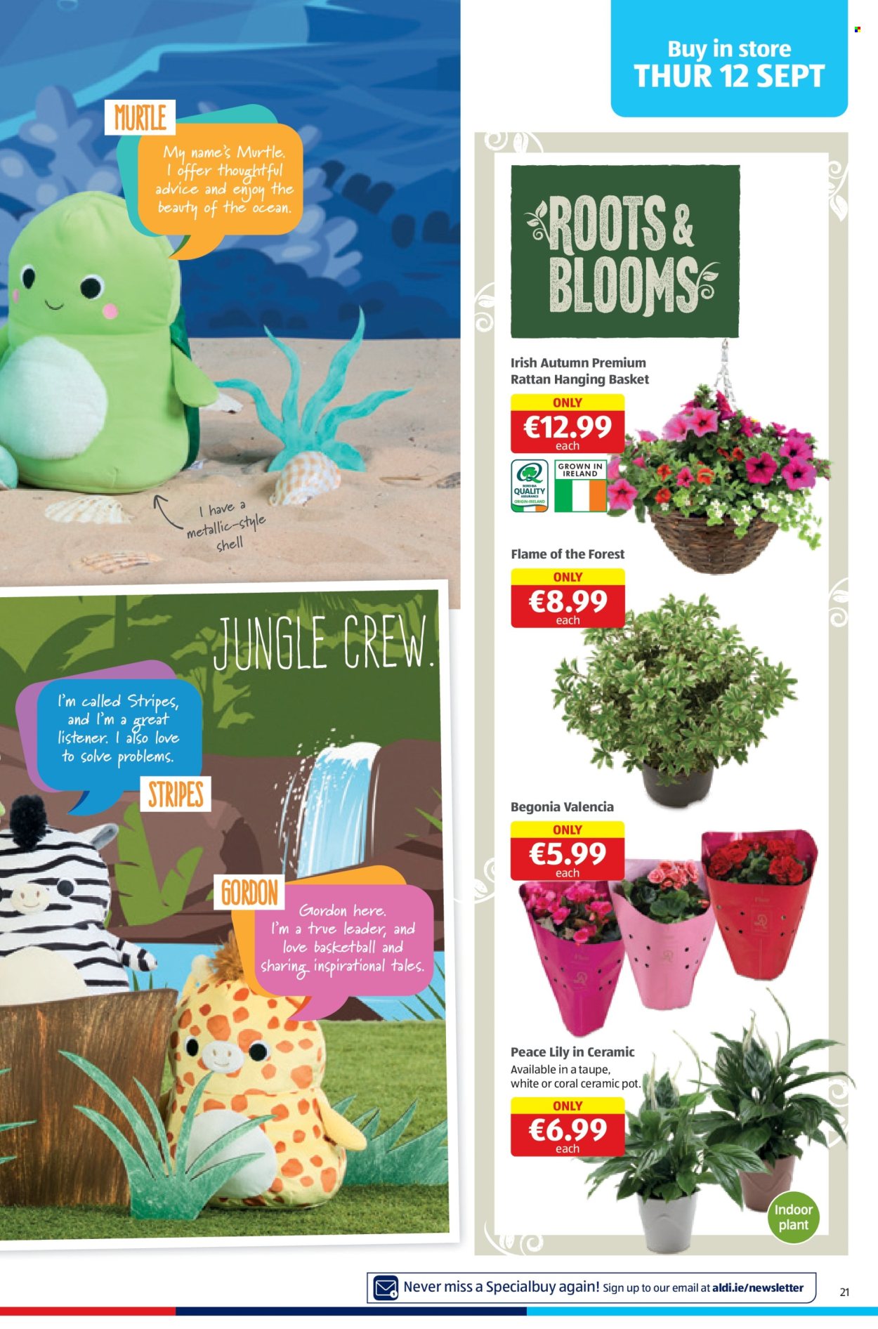 Aldi offer - 12.09.2024 - 15.09.2024. Page 21