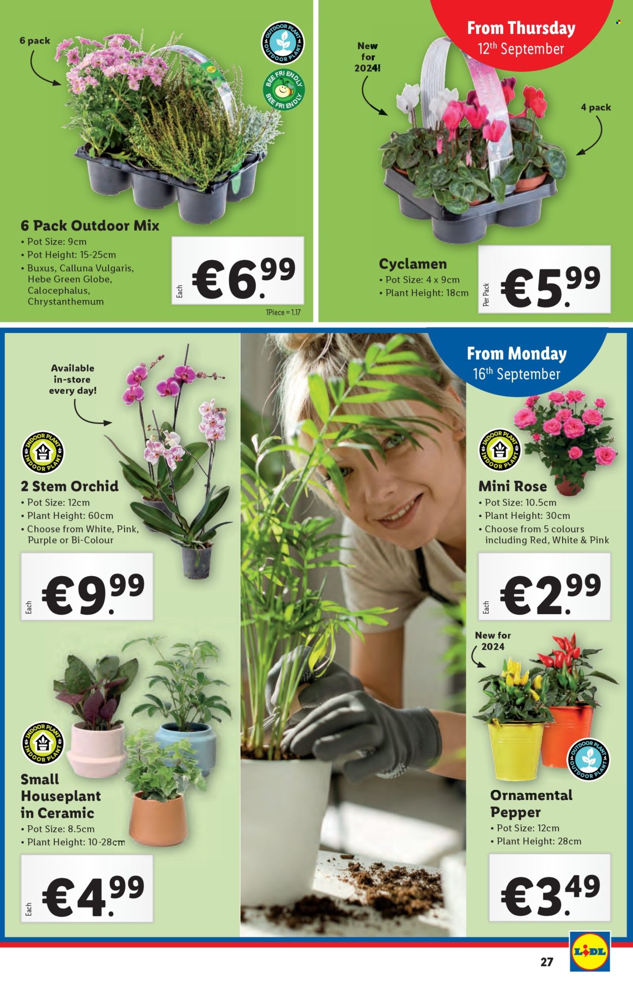 Lidl offer - 12.09.2024 - 18.09.2024. Page 27
