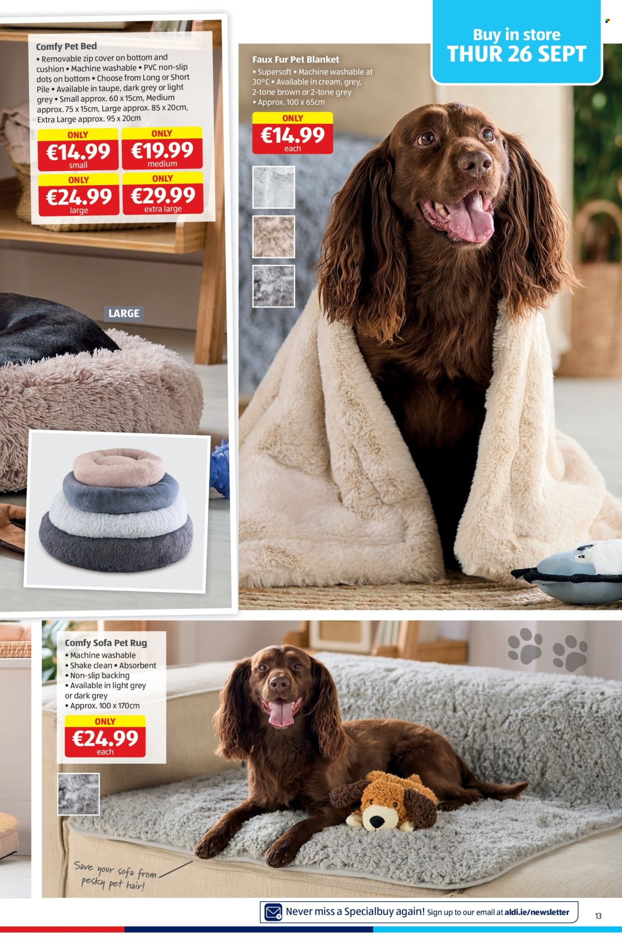 Aldi offer - 26.09.2024 - 29.09.2024. Page 13
