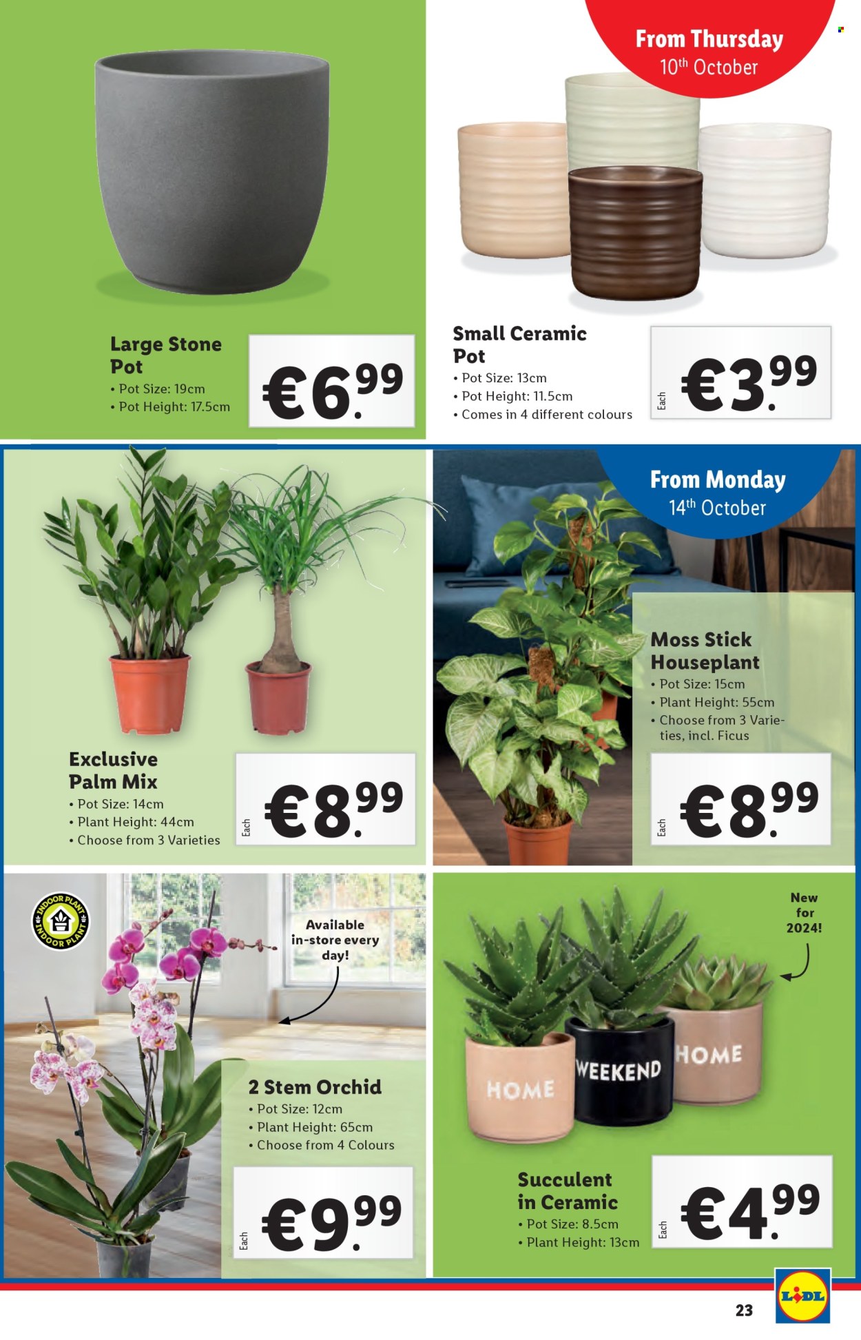 Lidl offer - 10.10.2024 - 16.10.2024. Page 24