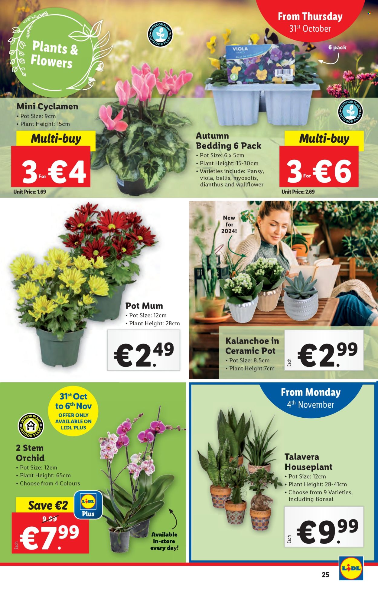 Lidl offer - 31.10.2024 - 06.11.2024. Page 25