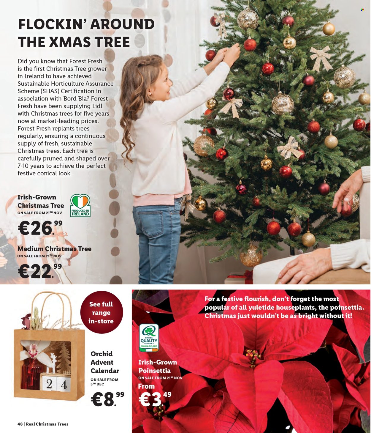 Lidl offer. Page 48