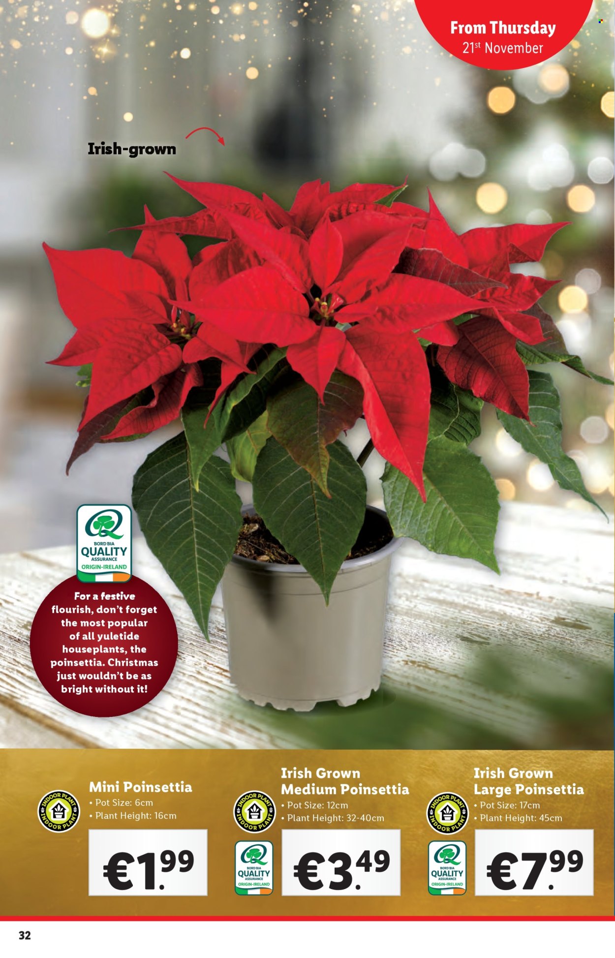 Lidl offer - 21.11.2024 - 27.11.2024. Page 32