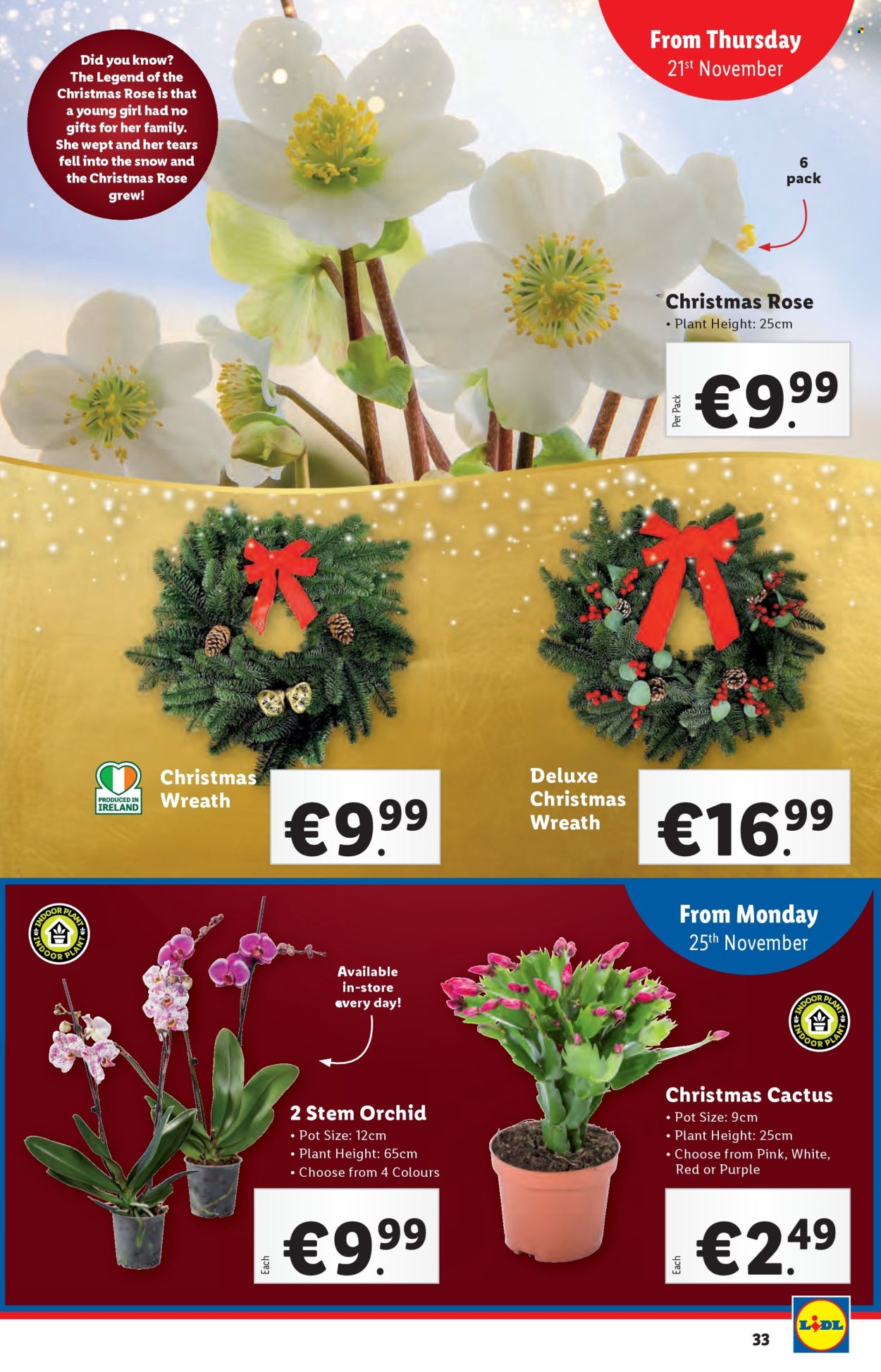 Lidl offer - 21.11.2024 - 27.11.2024. Page 33