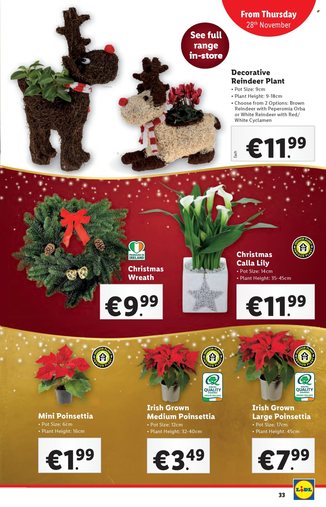 Lidl offer - 28.11.2024 - 04.12.2024. Page 33