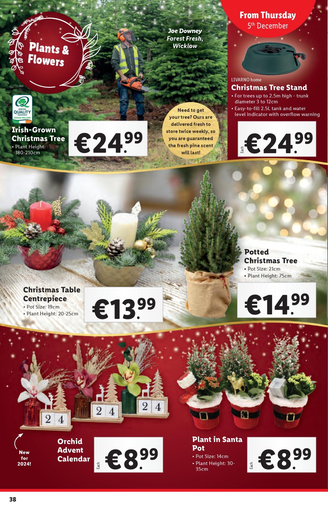 Lidl offer - 05.12.2024 - 11.12.2024. Page 38