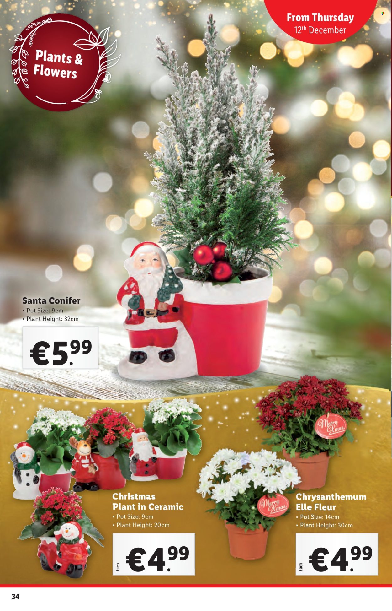 Lidl offer - 12.12.2024 - 18.12.2024. Page 34