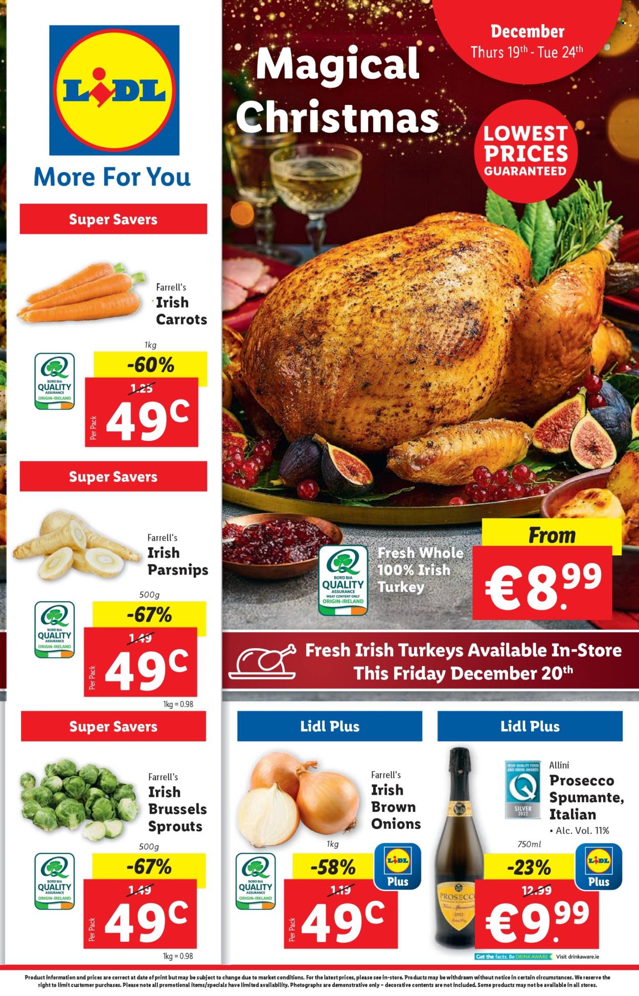 Lidl offer - 19.12.2024 - 24.12.2024. Page 1