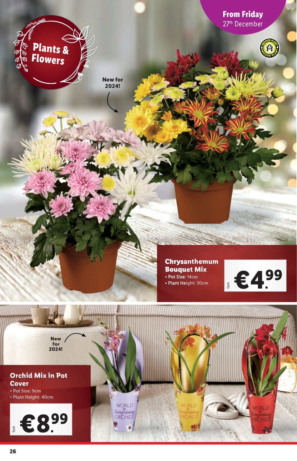 Lidl offer - 27.12.2024 - 31.12.2024. Page 26