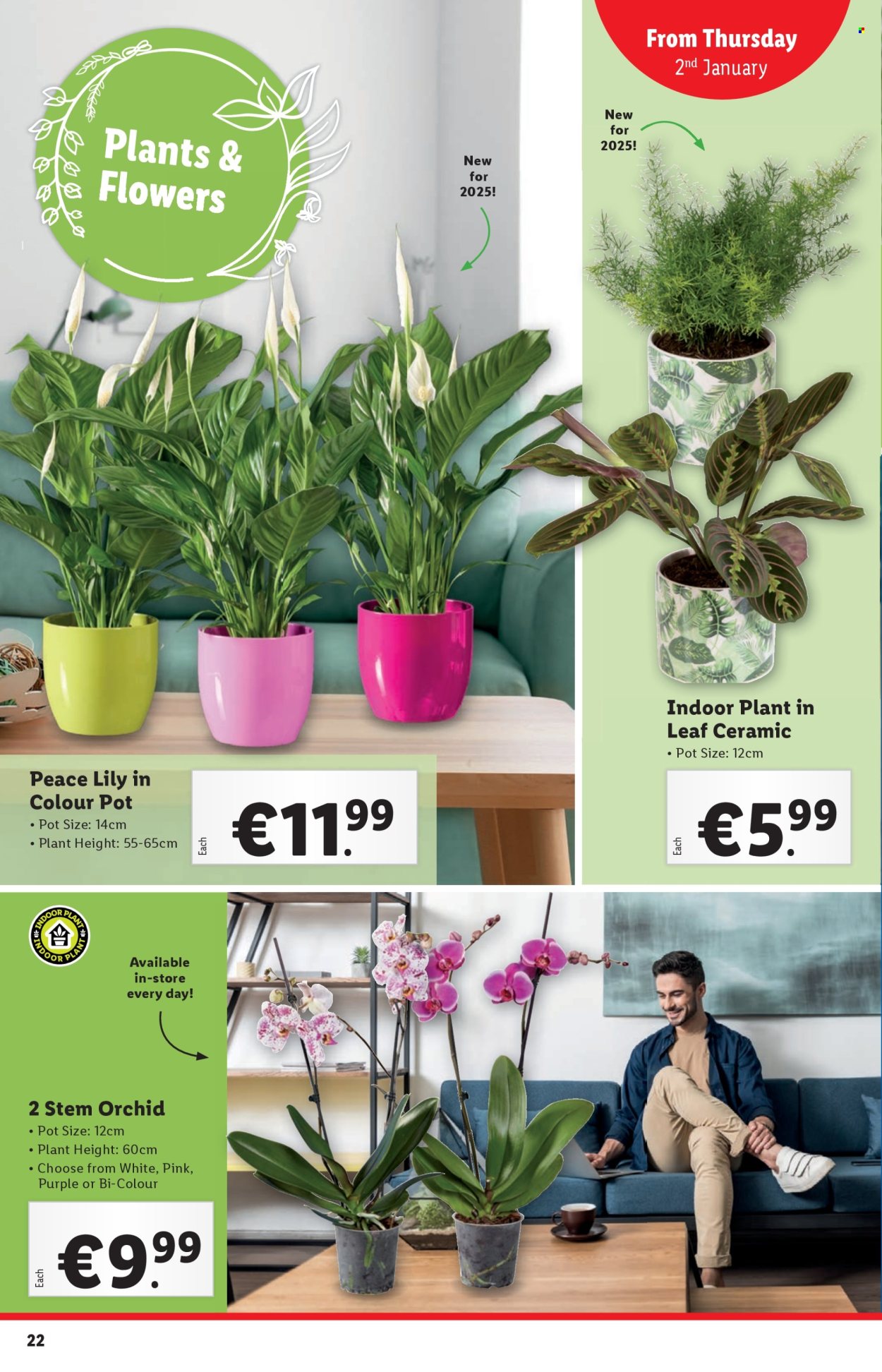 Lidl offer - 02.01.2025 - 08.01.2025. Page 22