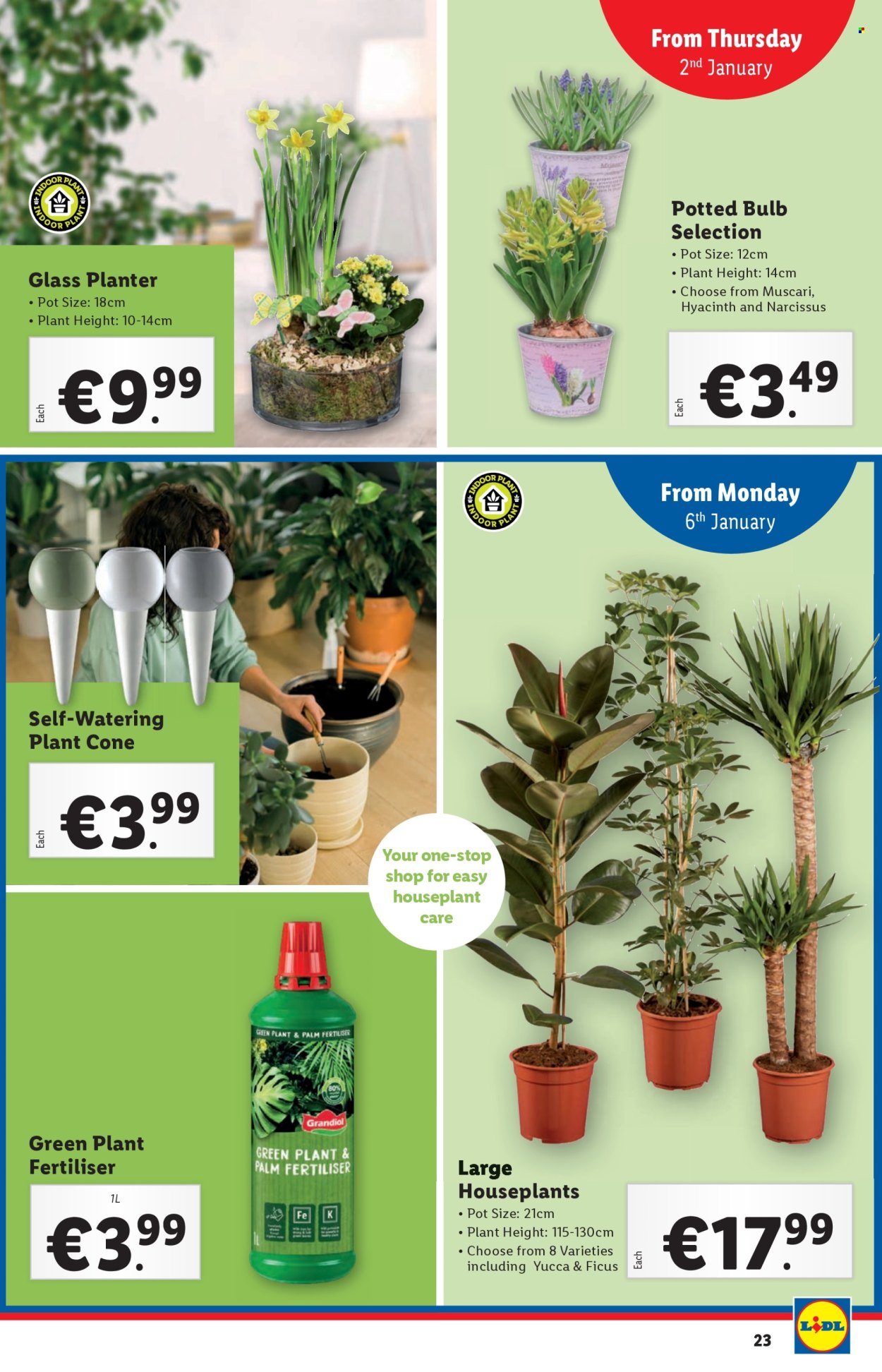 Lidl offer - 02.01.2025 - 08.01.2025. Page 23