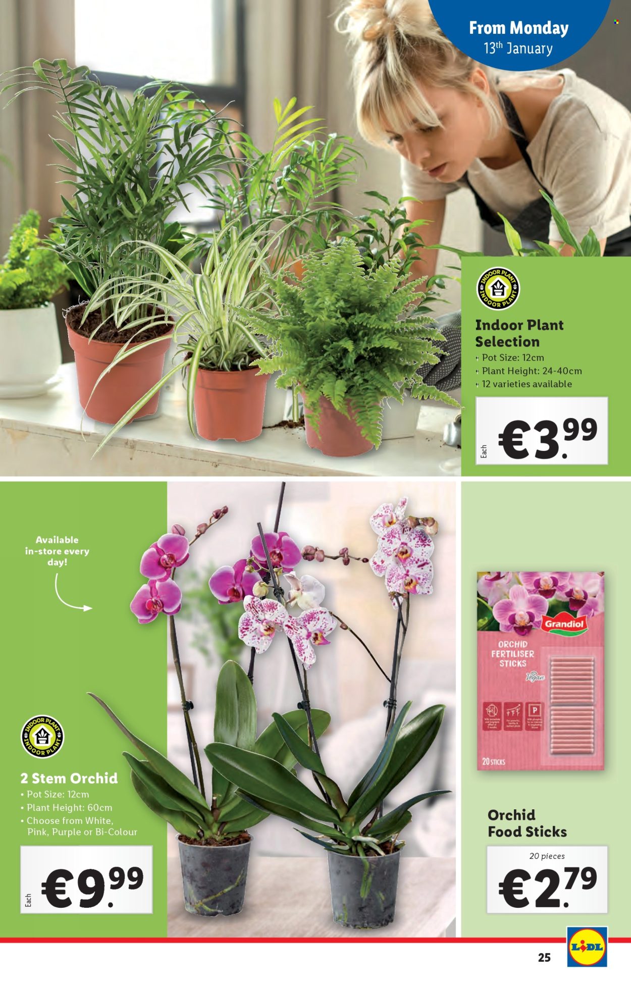 Lidl offer - 09.01.2025 - 15.01.2025. Page 25
