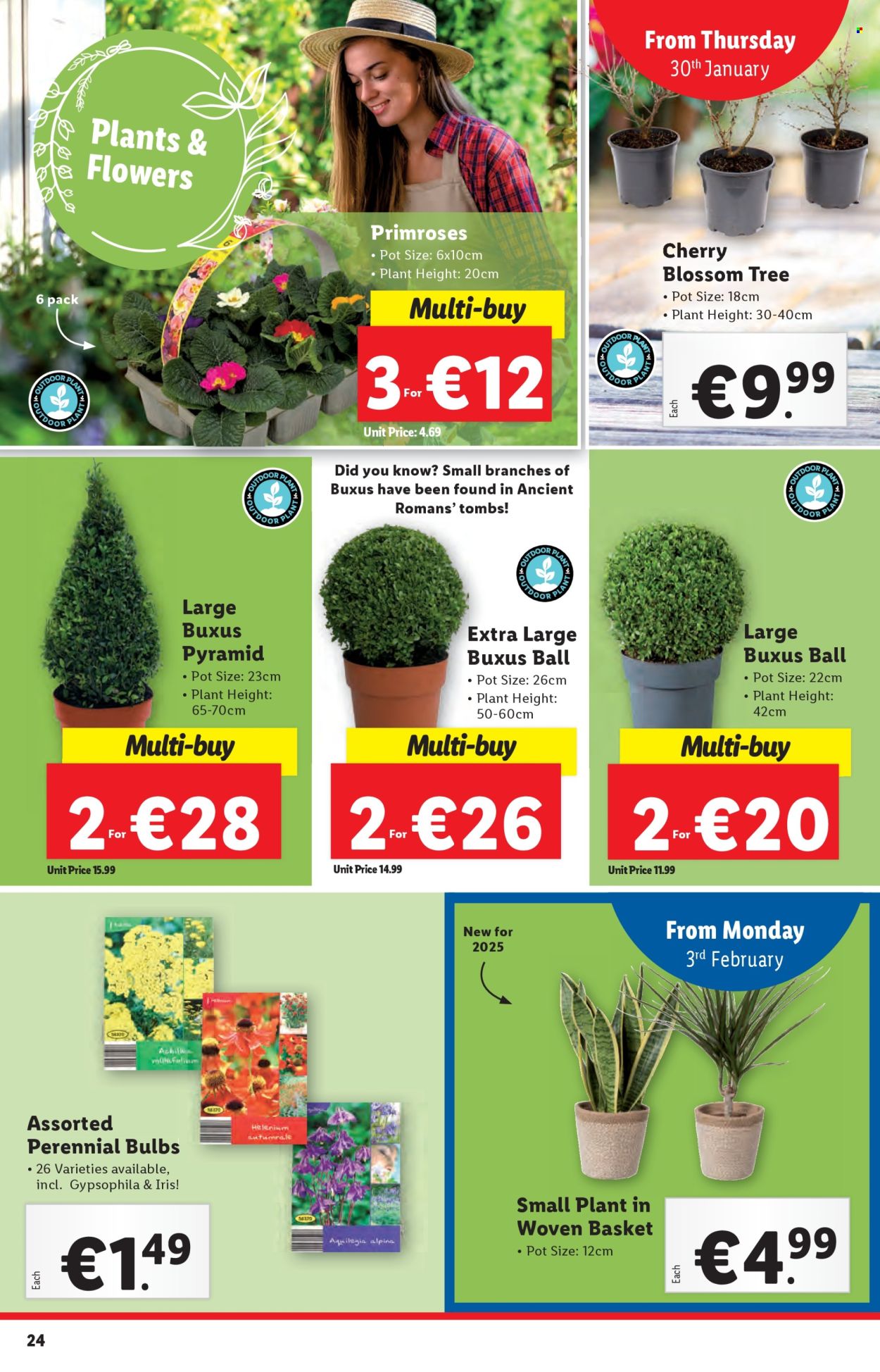 Lidl offer - 30.01.2025 - 05.02.2025. Page 24