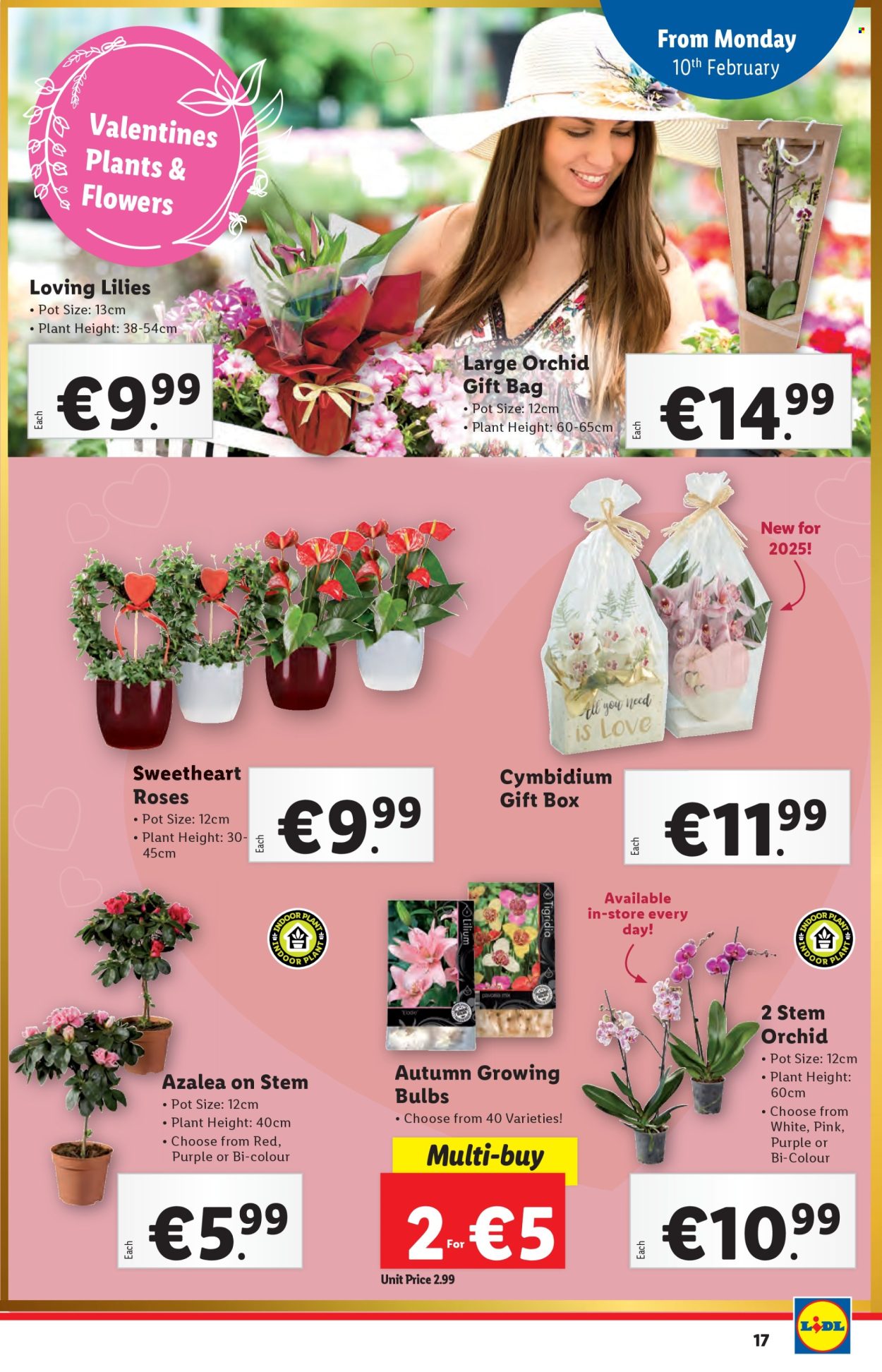 Lidl offer - 06.02.2025 - 12.02.2025. Page 17