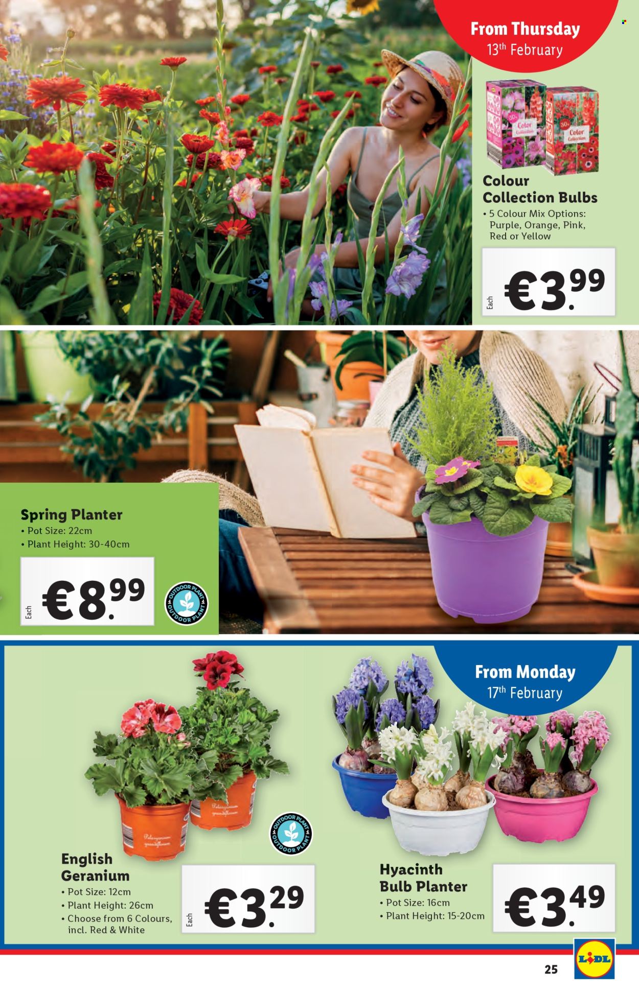 Lidl offer - 13.02.2025 - 19.02.2025. Page 25