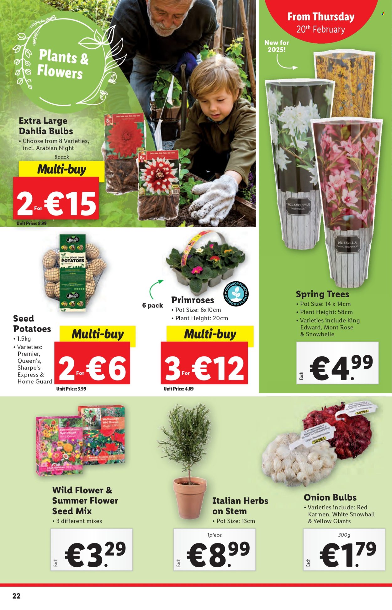Lidl offer - 20.02.2025 - 26.02.2025. Page 22
