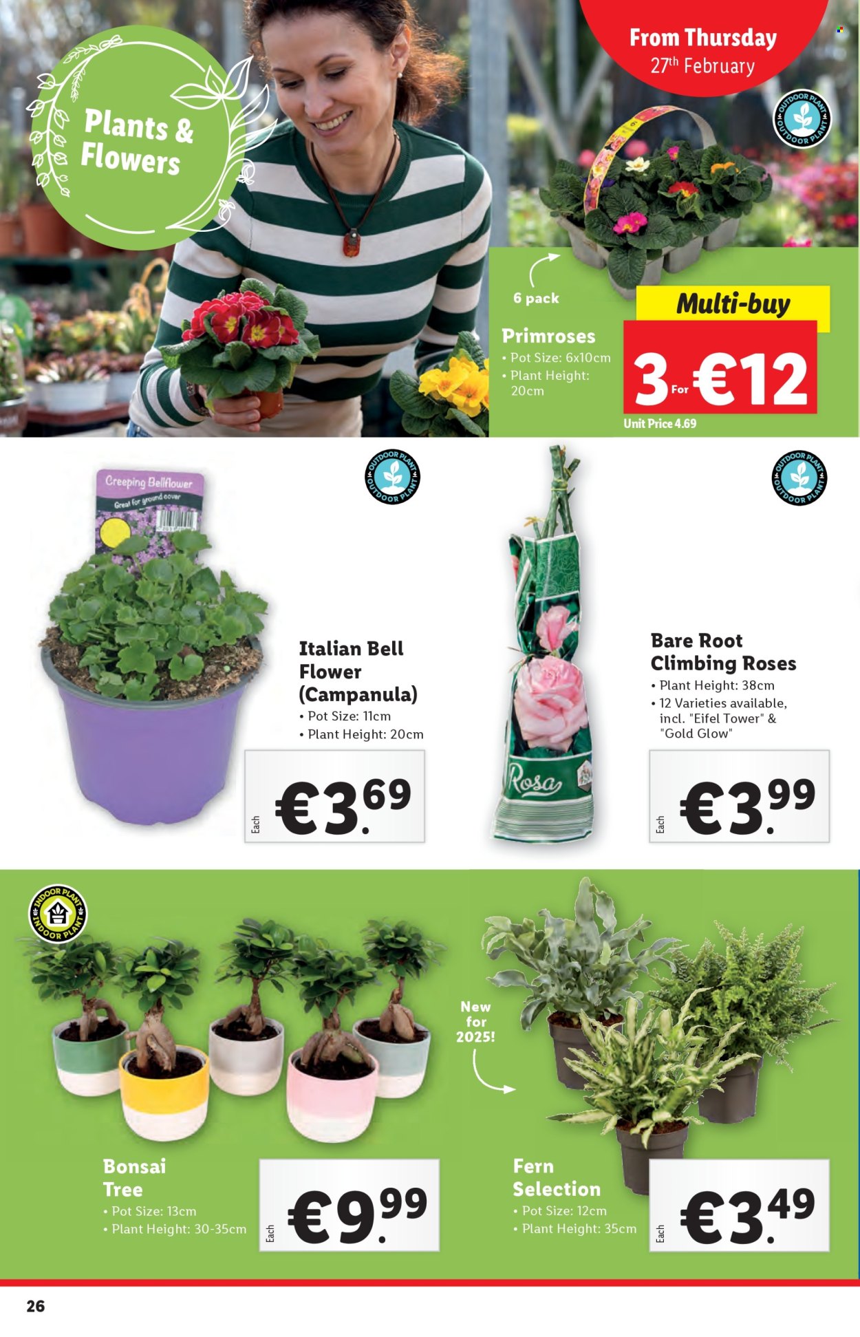 Lidl offer - 27.02.2025 - 05.03.2025. Page 26