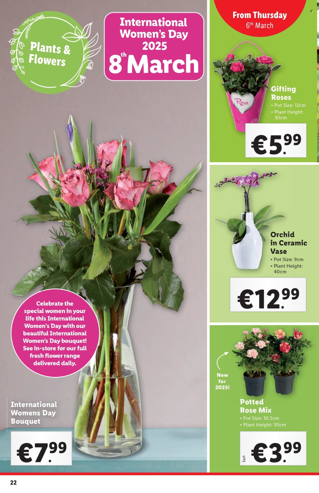 Lidl offer - 06.03.2025 - 12.03.2025. Page 22