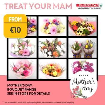 EUROSPAR offer .