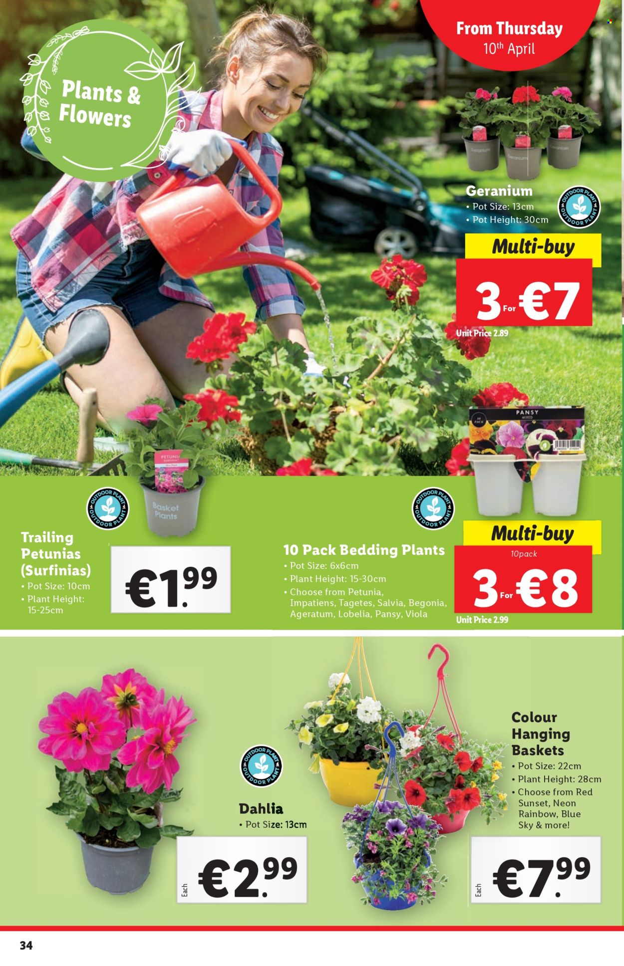 Lidl offer - 10.04.2025 - 16.04.2025. Page 34