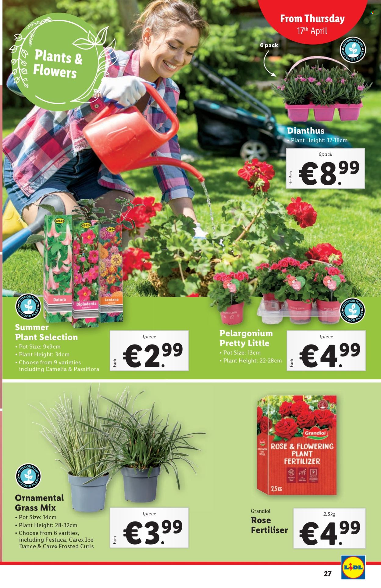 Lidl offer - 17.04.2025 - 23.04.2025. Page 27