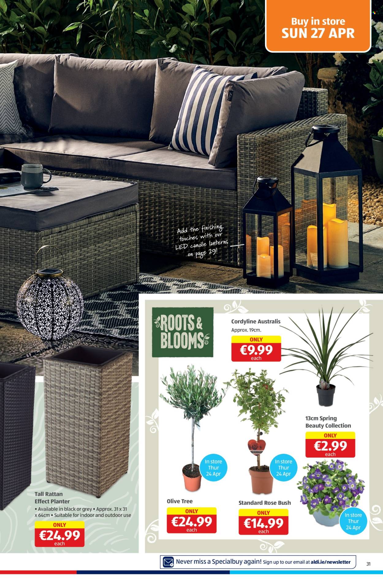 Aldi offer - 24.04.2025 - 27.04.2025. Page 31
