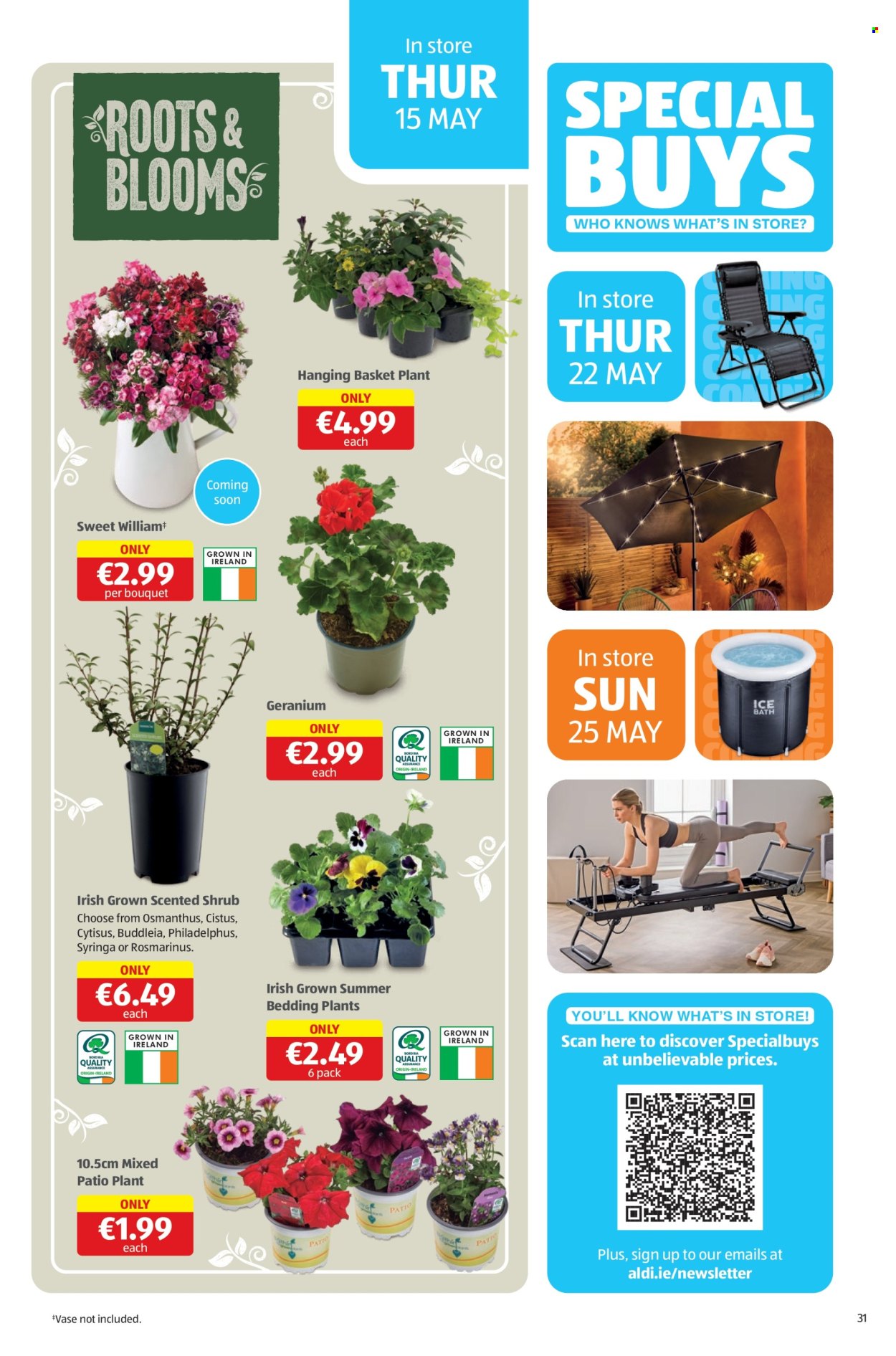 Aldi offer - 15.05.2025 - 18.05.2025. Page 31