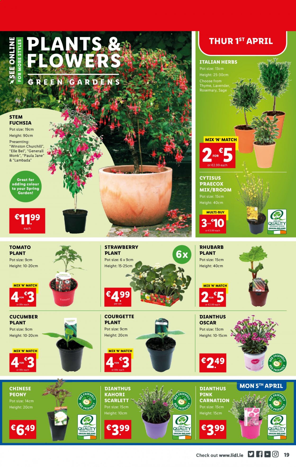 Lidl offer - 01.04.2021 - 07.04.2021. Page 19