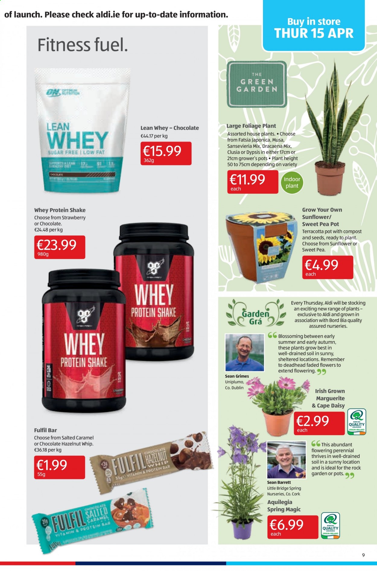 thumbnail - Aldi offer  - 15.04.2021 - 21.04.2021 - Sales products - protein drink, shake, chocolate, pot, sunflower, whey protein. Page 9.