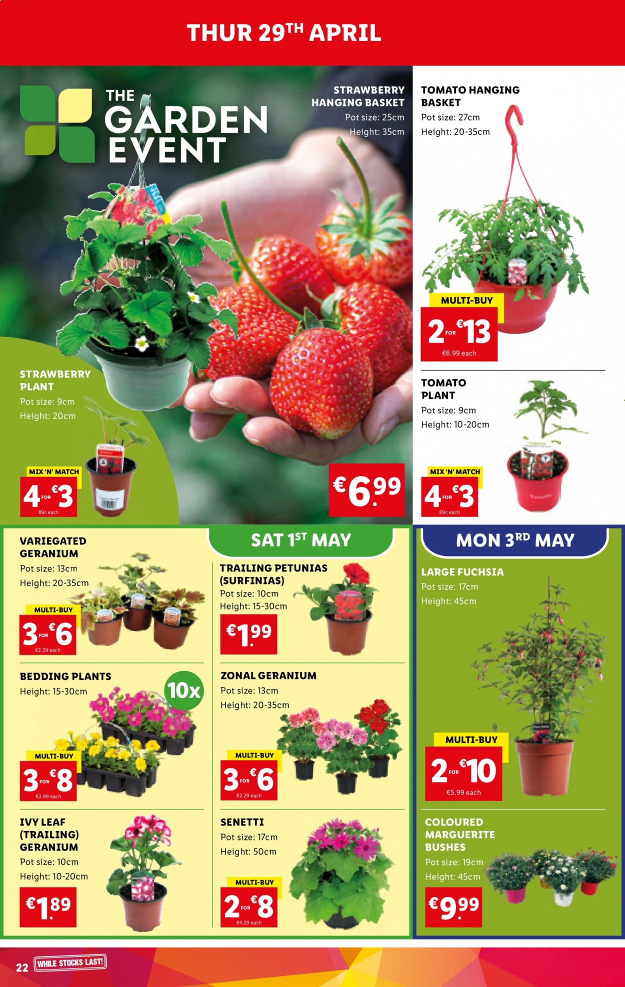 Lidl offer - 29.04.2021 - 05.05.2021. Page 22