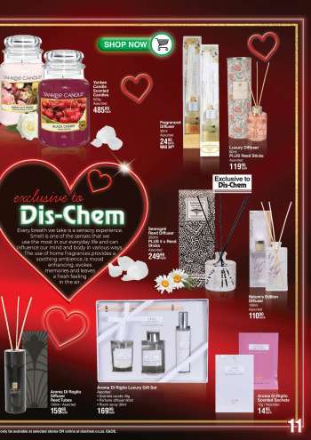 {store} catalogue