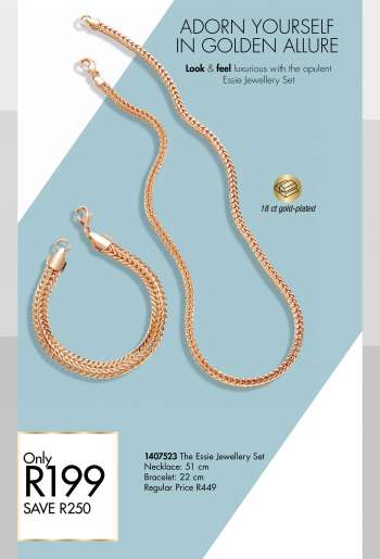 {store} catalogue