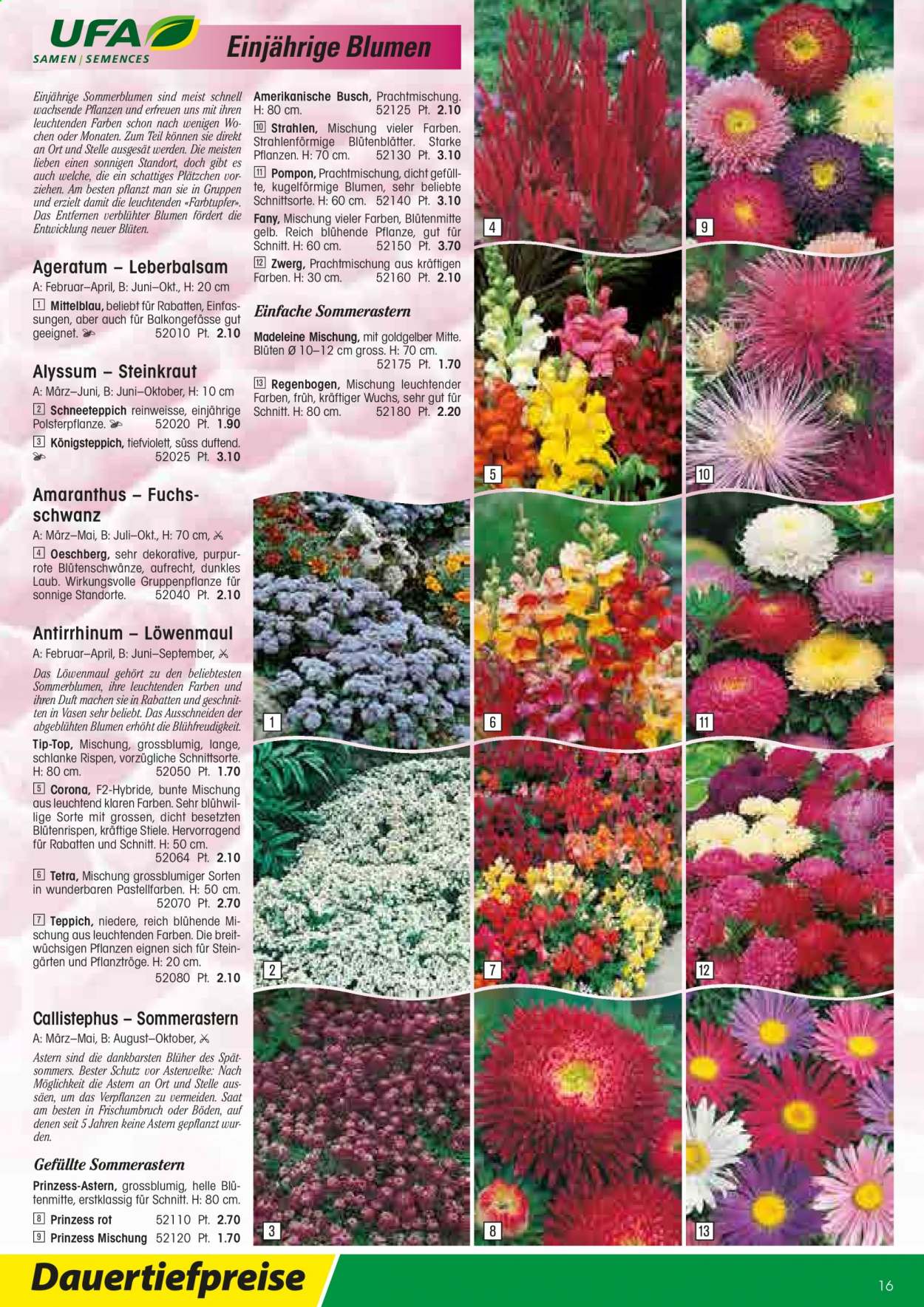 Volantino Landi - 22.2.2021 - 31.12.2021. Pagina 16