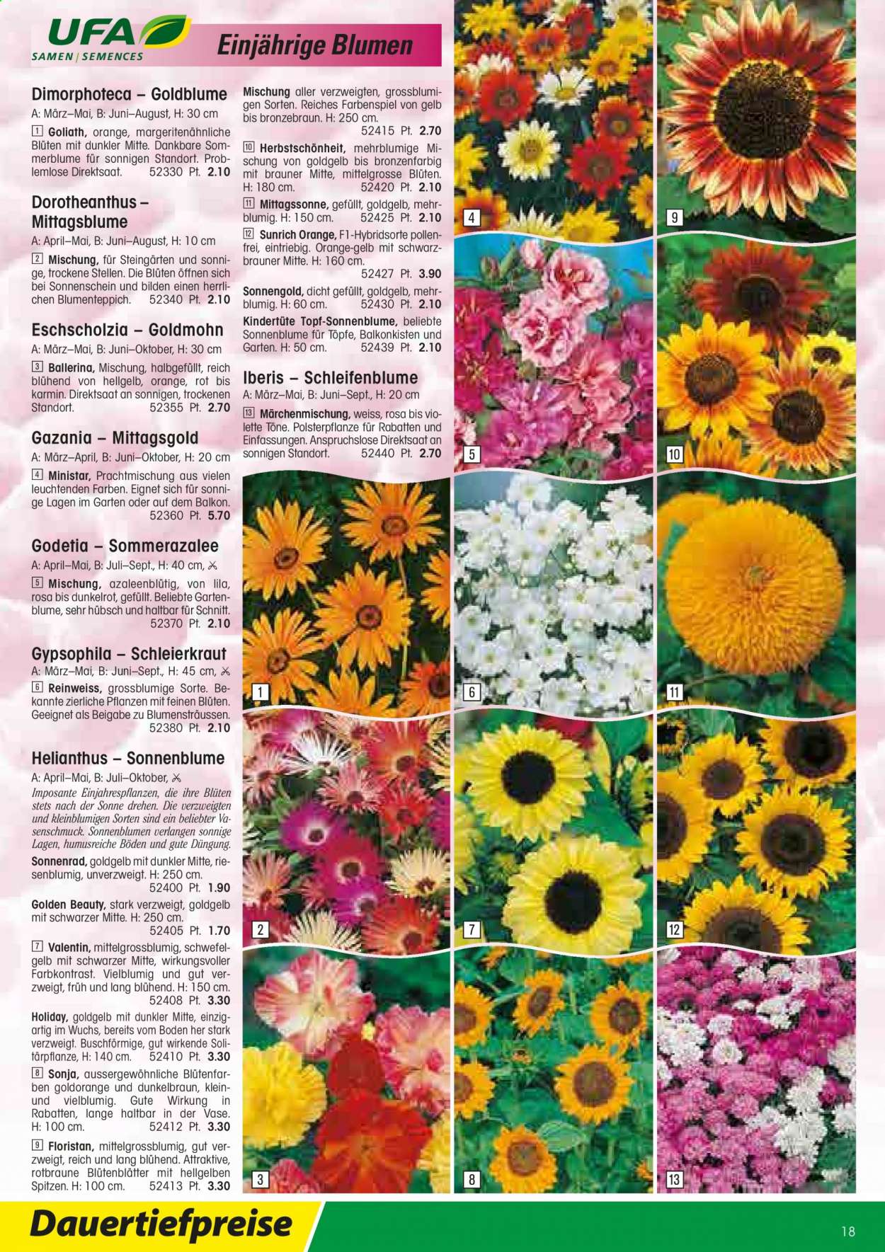 Volantino Landi - 22.2.2021 - 31.12.2021. Pagina 18