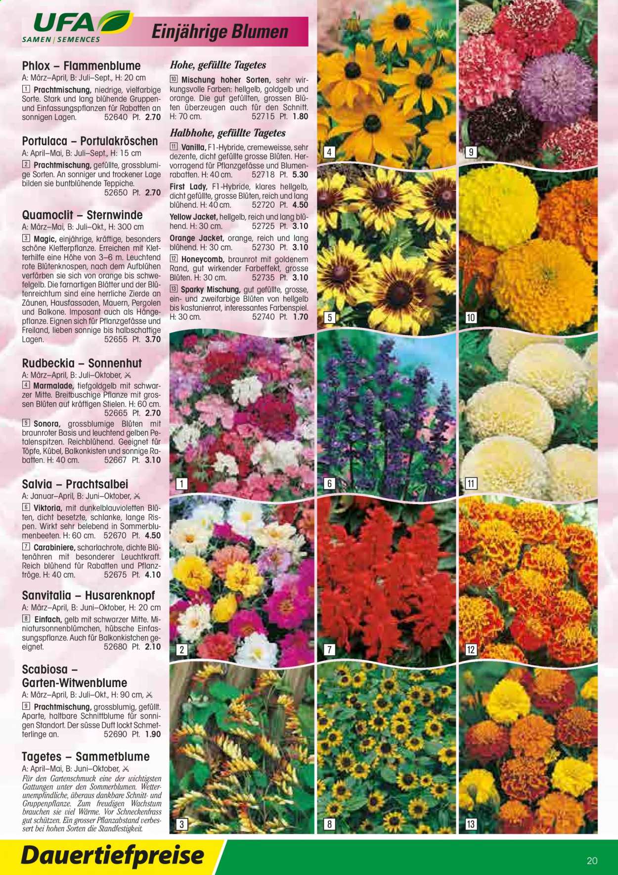 Volantino Landi - 22.2.2021 - 31.12.2021. Pagina 20